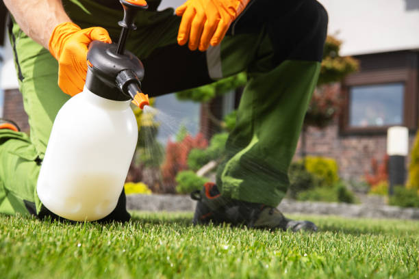 Best Rat Extermination Near Me  in Bloomington, TX