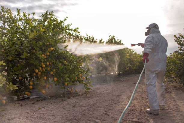 Best Wildlife Control Services  in Bloomington, TX